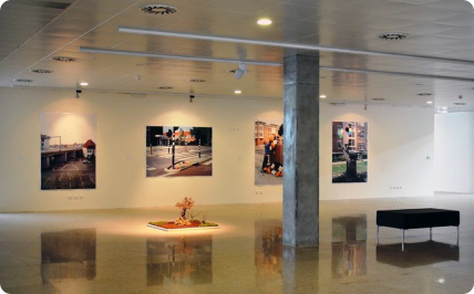 Everywhere Is the Same Sky – A Landscape Perspective in the NJL Collection